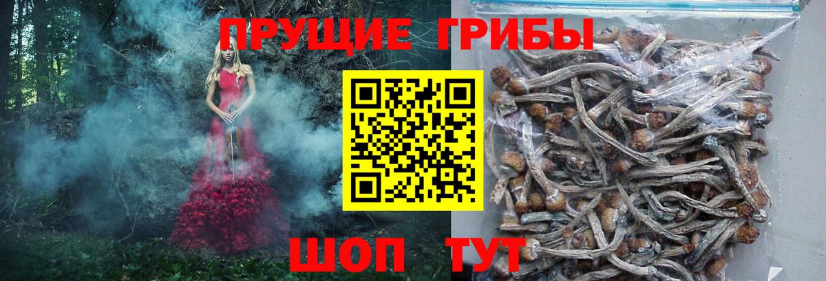 Галлюциногенные грибы ЛСД  Галлюциногенные грибы MAGIC MUSHROOMS  Шелехов  Вход с VPN 