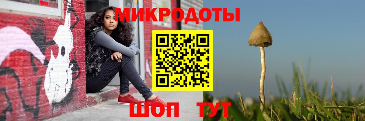 Галлюциногенные грибы Psilocybe Шелехов